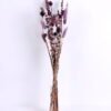 Dried Flowers 13*63cm Dried natural items bouquet in bag(29g/bouquet, H:63CM) GS-56620061