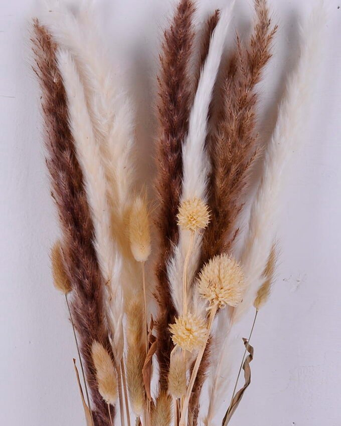 Dried Flowers 15*75cm Dried natural items bouquet in bag(42g/bouquet, H:75CM) GS-56620055