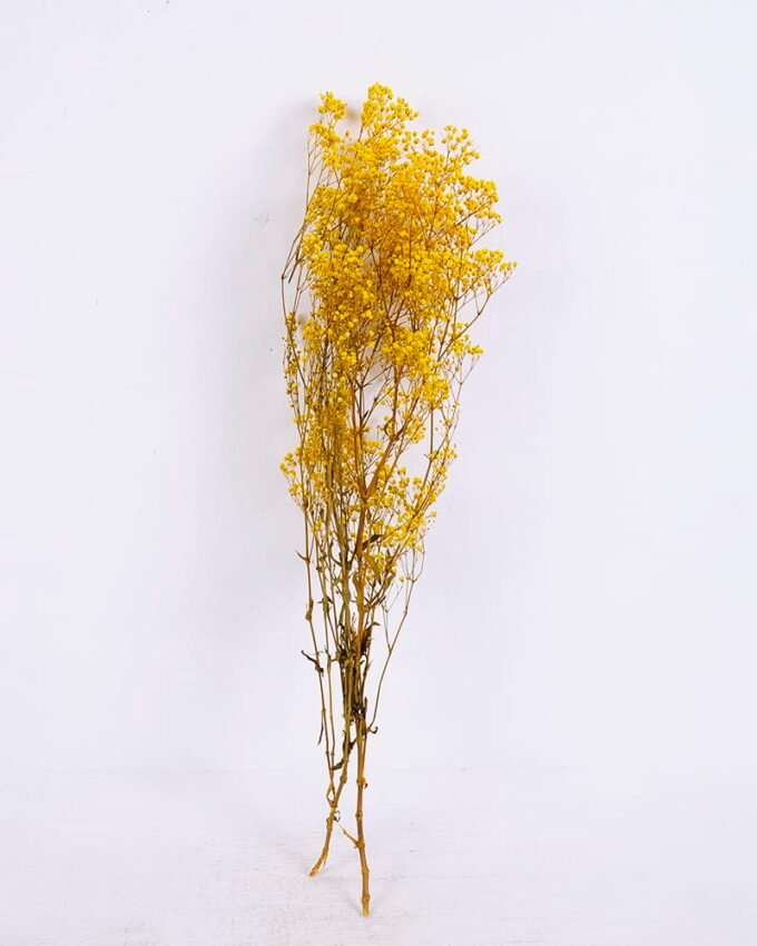 Dried Flowers 17*62cm Preserved Gypsophila Bouquet GS-56620032-Y1
