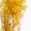 Dried Flowers 17*62cm Preserved Gypsophila Bouquet GS-56620032-Y1