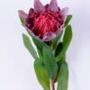 Artificial Flower 10*47CM Single protea GS-09820028-K1