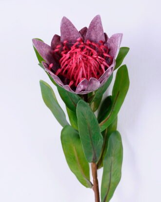 Artificial Flower 10*47CM Single protea GS-09820028-K1