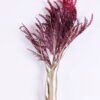 Artificial Flower 15 103CM Reeds spray GS-27920020-R1_6 Artificial Flower 15*103CM Reeds spray GS-27920020-R1