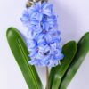 Artificial Flower 15*40CM Single Hyacinths GS-09820016