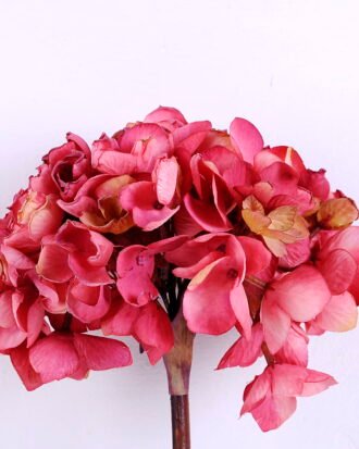 Artificial Flower 17*49CM Single Hydrange GS-40720007-P1