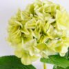 Artificial Flower 23*66CM Singel Hydrangea GS-15420027-G1