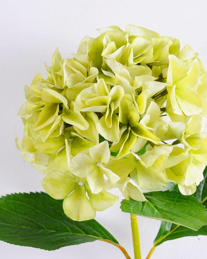 Artificial Flower 23*66CM Singel Hydrangea GS-15420027-G1