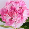 Artificial Flower 23*66CM Singel Hydrangea GS-15420027-P3