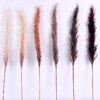 Artificial Flower 7*102CM Reeds spray GS-27920021-H1