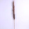 Artificial Flower 7*102CM Reeds spray GS-27920021-H1