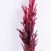Artificial Flower 7*81cm Reeds spray GS-27920025-R1