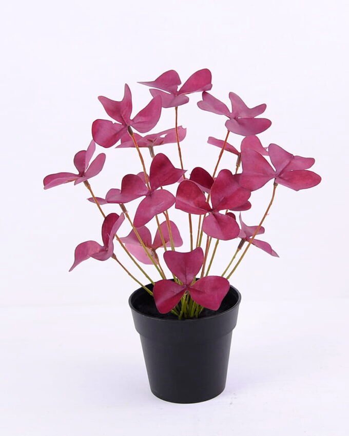 Artificial Plant 23 23 28cm Clover in Plastic GS-03320146P0P24_2 Artificial Plant 23*23*28cm Clover in Plastic GS-03320146P0P24
