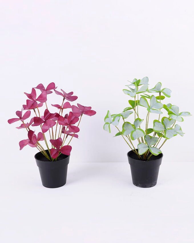 Artificial Plant 23 23 28cm Clover in Plastic GS-03320146P0P24_6 Artificial Plant 23*23*28cm Clover in Plastic GS-03320146P0P24