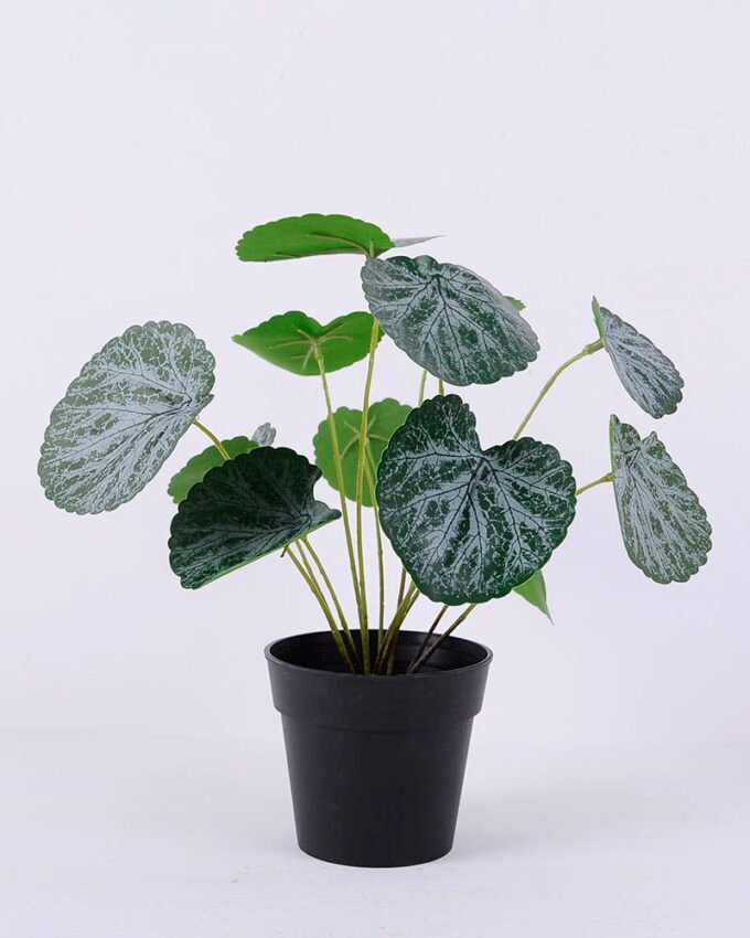 Artificial Plant 25*25*28cm Saxifrage in Plastic pot GS-03320147P0P24