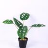 Artificial Plant 32 32 35cm Monstera in plastic pot GS-03320138_5 Artificial Plant 32*32*35cm Monstera in plastic pot GS-03320138