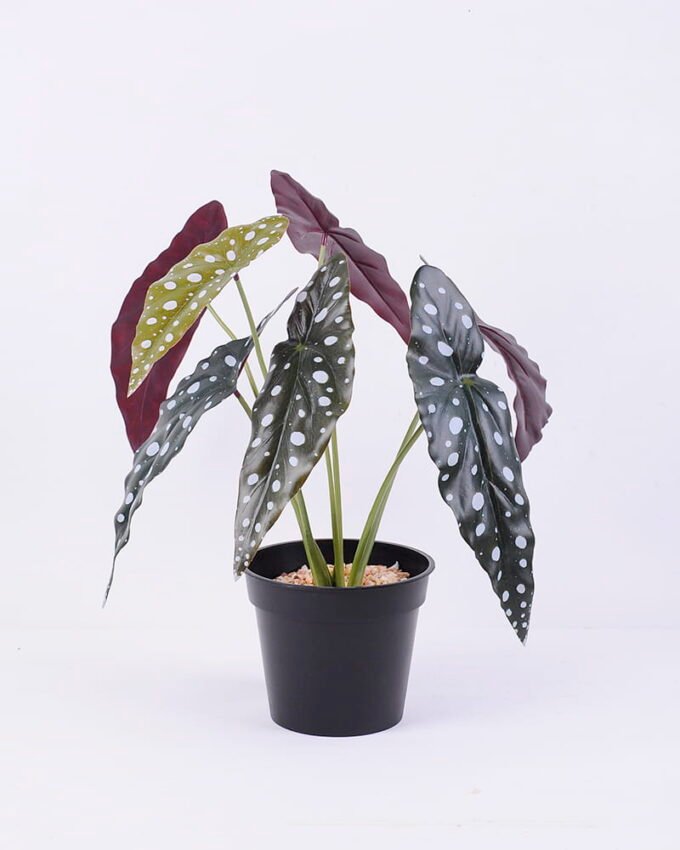 Artificial Plant 34*34*39cm Leaves in Plastic pot GS-03320135