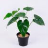 Artificial Plant 36*36*33cm Anthurium leave in plastic pot GS-03320139