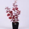 Artificial Plant Eucalyptus in ceramic pot GS-17720003_3 Artificial Plant Eucalyptus in ceramic pot GS-17720003