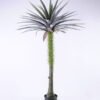 Artificial Tree 100*100*157cm Potted Tree GS-61120008