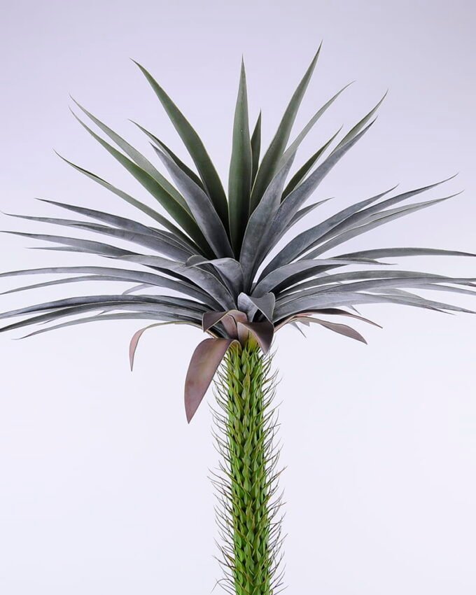 Artificial Tree 100*100*157cm Potted Tree GS-61120008