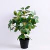 Artificial Tree 33*33*49cm Ficus tree in plastic pot GS-03320152
