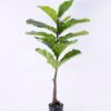Artificial Tree 61*52*123cm Ficus in plastic pot/lvs16 GS-61120003