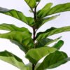 Artificial Tree 61*52*123cm Ficus in plastic pot/lvs16 GS-61120003