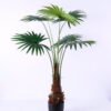 Artificial Tree 80*70*108CM Livistona chinensis in plastic pot/lvs6 GS-48520115