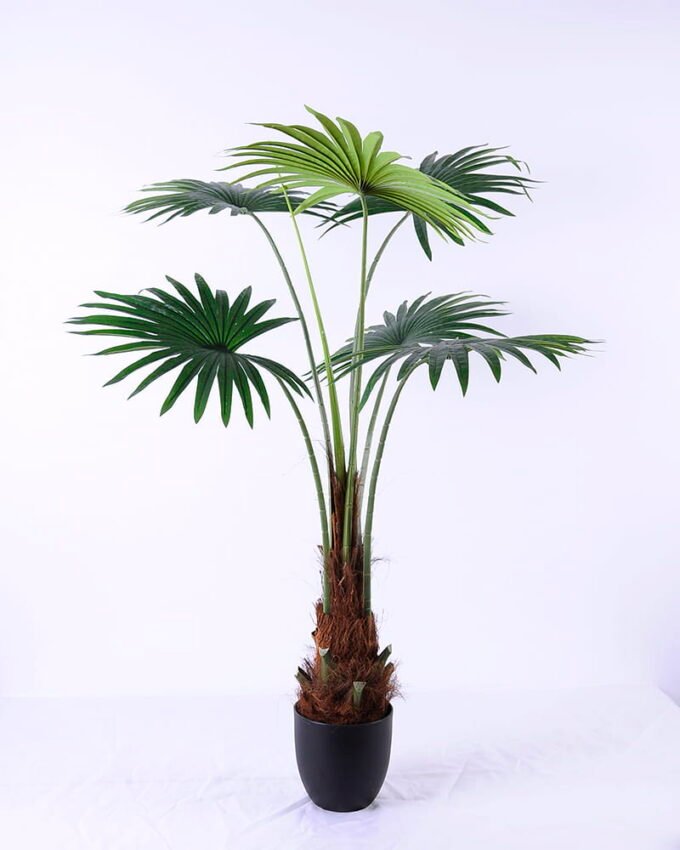 Artificial Tree 80*70*108CM Livistona chinensis in plastic pot/lvs6 GS-48520115