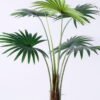 Artificial Tree 80*70*108CM Livistona chinensis in plastic pot/lvs6 GS-48520115