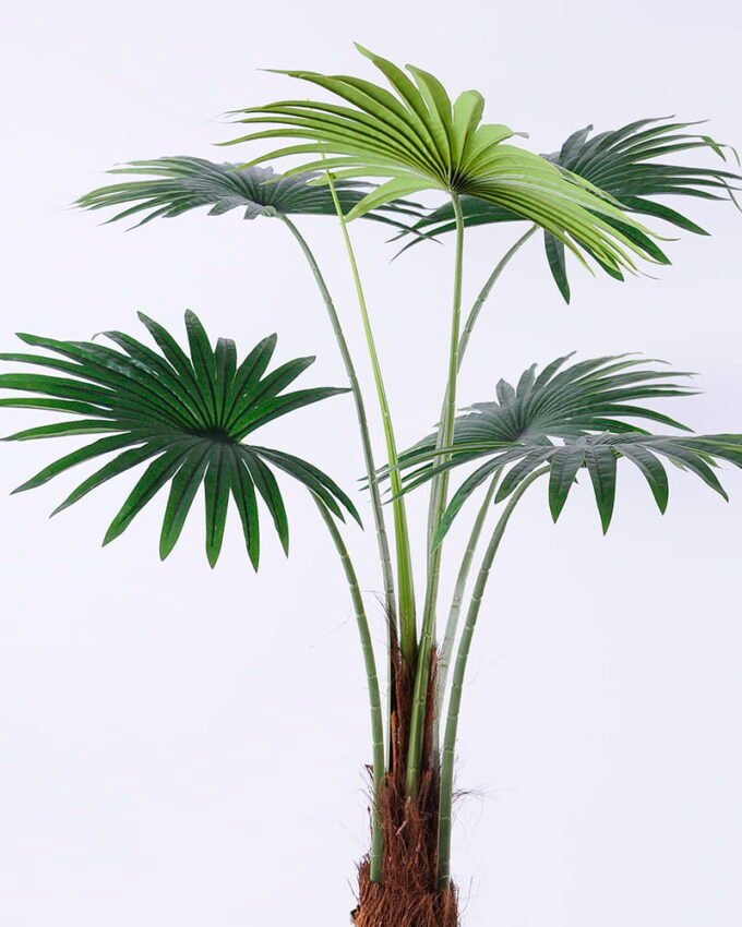 Artificial Tree 80*70*108CM Livistona chinensis in plastic pot/lvs6 GS-48520115