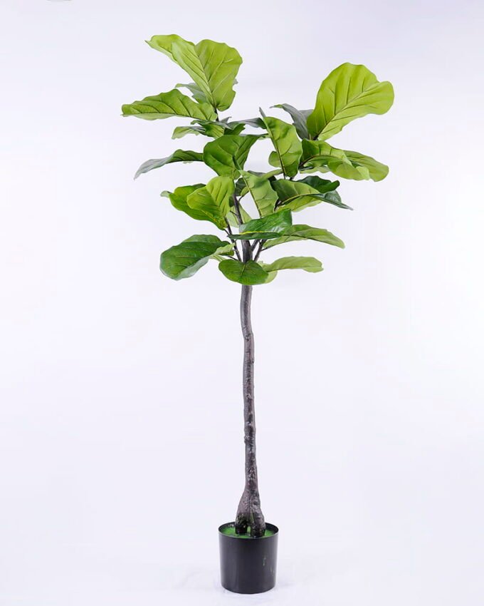 Artificial Tree 86*59*156cm Ficus in plastic pot/lvs30 GS-61120001
