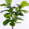 Artificial Tree 86*59*156cm Ficus in plastic pot/lvs30 GS-61120001