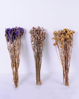 Dried Flowers 10*59cm Nature myosotis sylvatica,70g/bag GS-56620076JJA