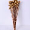 Dried Flowers 10*59cm Nature myosotis sylvatica,70g/bag GS-56620076JJA
