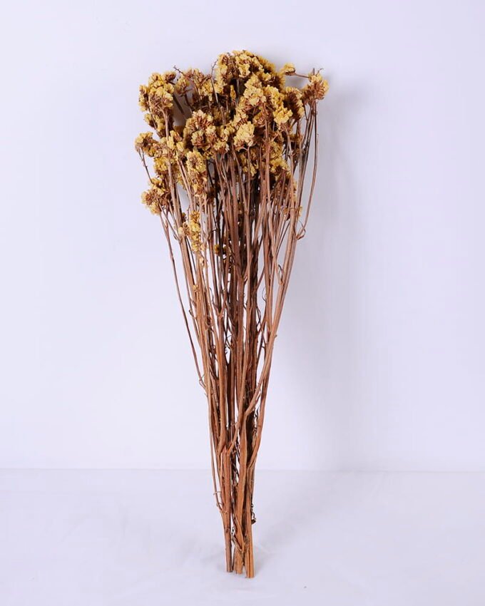 Dried Flowers 10*59cm Nature myosotis sylvatica,70g/bag GS-56620076JJA