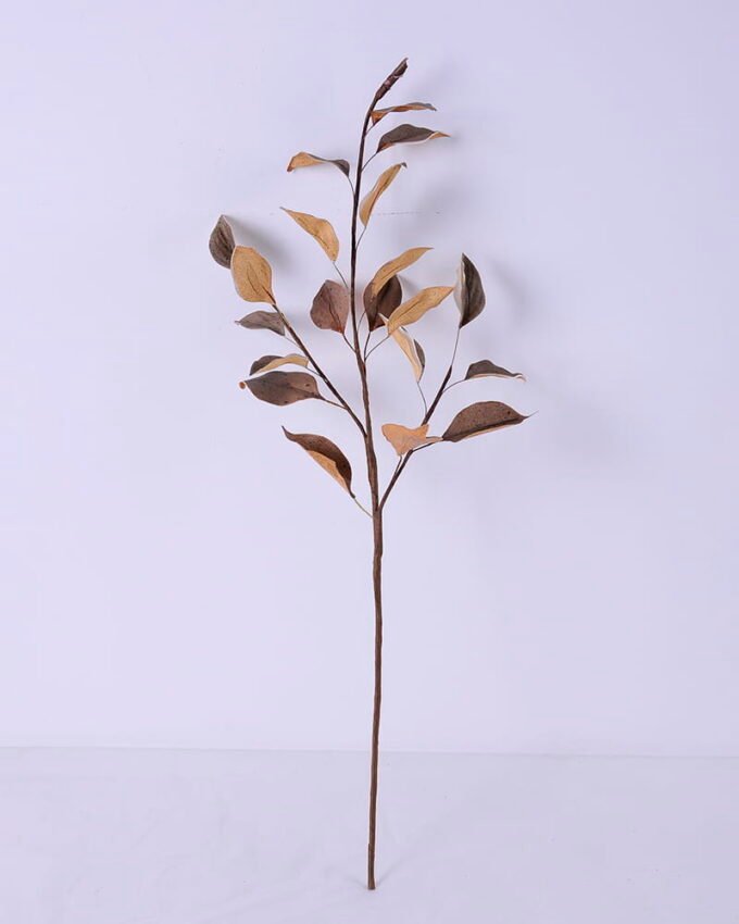 Dried Flowers 25*68cm Leaves spray GS-27920043