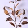 Dried Flowers 25*68cm Leaves spray GS-27920043