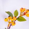 Artificial Branch fruit 18*73 Berry spray*5 GS-60920032-O1