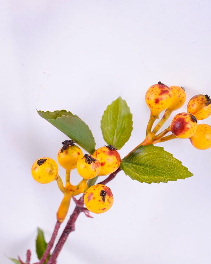 Artificial Branch fruit 18*73 Berry spray*5 GS-60920032-O1