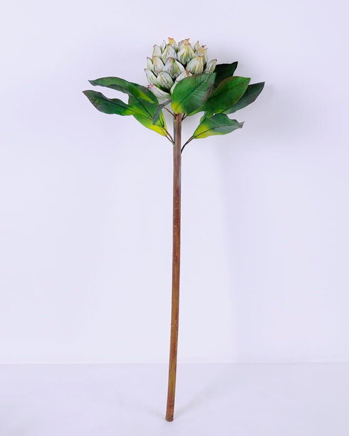 Artificial Flower 21*61CM Bromeliads GS-59020030-G1