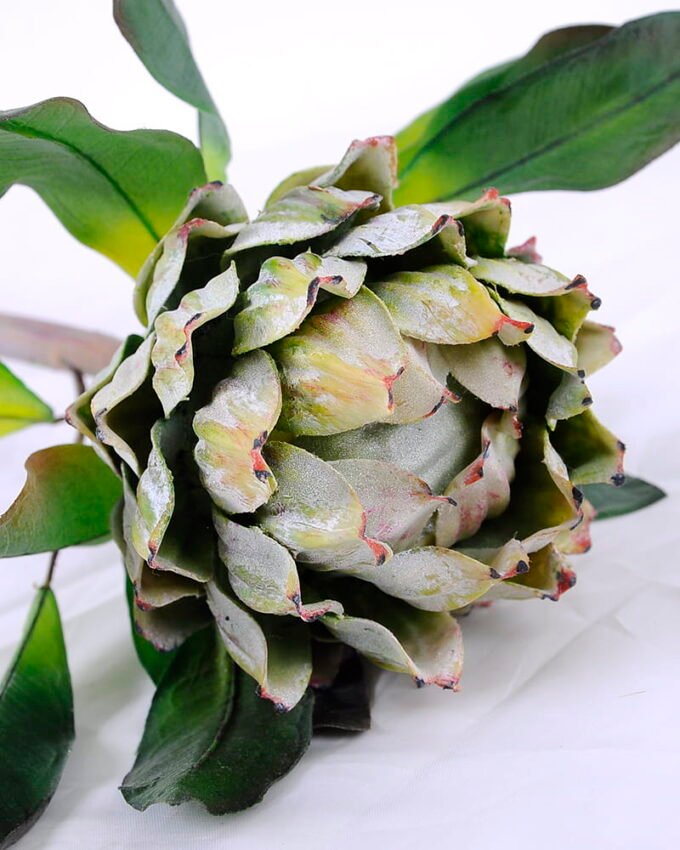 Artificial Flower 21*61CM Bromeliads GS-59020030-G1