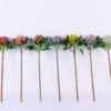 Artificial Flower 21*61CM Bromeliads GS-59020030-G1