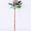 Artificial Flower 21*61CM Bromeliads GS-59020030-K1