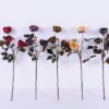 Artificial Flower 17*51CM Burning Rose*3 GS-25820019-B1