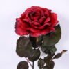 Artificial Flower 18*65CM Burning Rose GS-25820018-R1