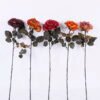 Artificial Flower 18*65CM Burning Rose GS-25820018