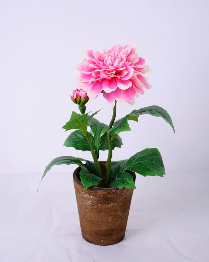 Artificial Flower Dahlia in paper pot GS-05520135-P2_5 Artificial Flower 17*16*28CM Dahlia in paper pot GS-05520135-P2