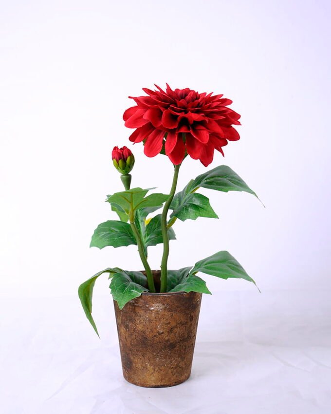 Artificial Flower Dahlia in paper pot GS-05520135-P2_7 Artificial Flower 17*16*28CM Dahlia in paper pot GS-05520135-P2