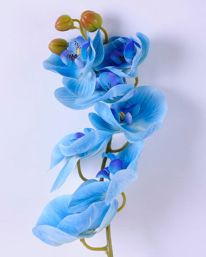 Artificial Flower 15*85CM Feeling  orchid*7 GS-31319028-B1